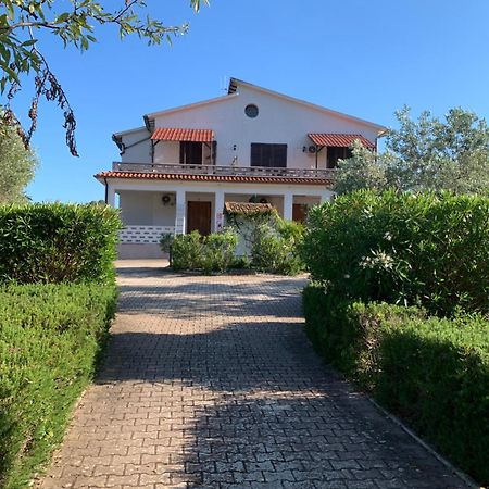 لاكونا Villa Conti Residence المظهر الخارجي الصورة
